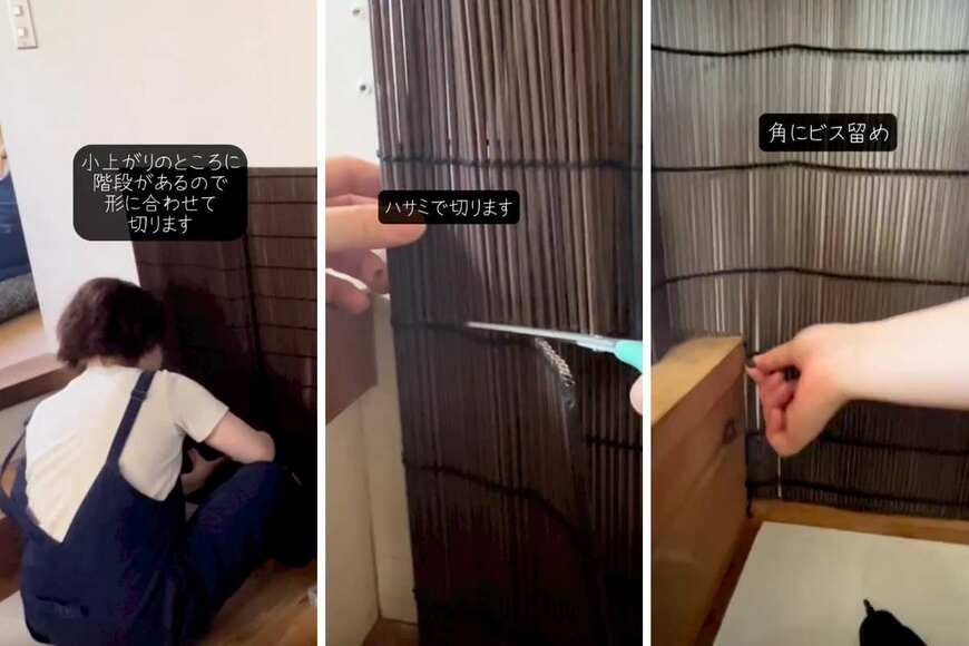 投稿の画像