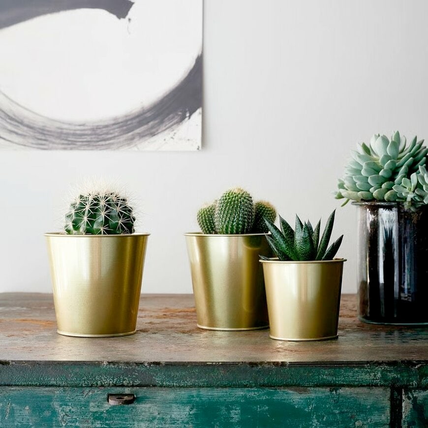 イケア公式　DAIDAI ダイダイ 鉢カバー