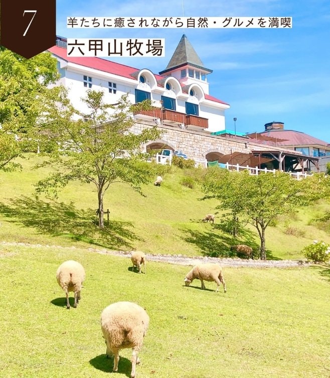動物との癒しの時間「六甲山牧場」