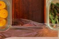 母が「高校生の娘」に作る鯖梅寿司弁当　美しすぎる盛り付けが「素晴らしい」と話題