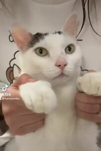  「ダンスしている姿がかわい過ぎる…！」ママと一緒に踊る姿にSNSユーザーがメロメロ