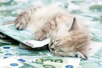 【厚生年金】「月額25万円以上」の羨ましい人はほんの一握り？公的年金の平均受給月額を解説