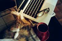 40～50代「おひとりさま」のお財布事情。貯蓄額と保有している金融資産は？