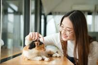 猫喫茶でくつろぐ猫の様子に違和感　「とんでもない体勢」に思わず目を疑う