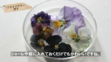 パンジーがドライフラワーに！？ 100均グッズで簡単〈パンジー