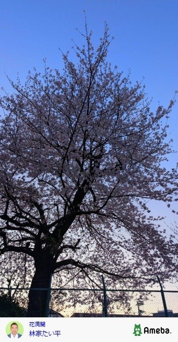 林家たい平の公式ブログ投稿