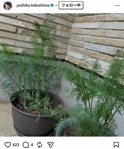 床嶋佳子のInstagram投稿