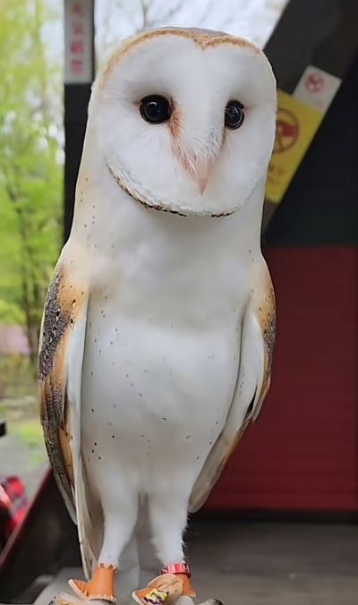 投稿動画のワンシーン