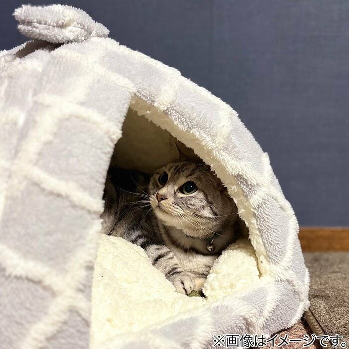 ペットベッドは、抜け毛やよだれなどで意外と汚れやすいもの