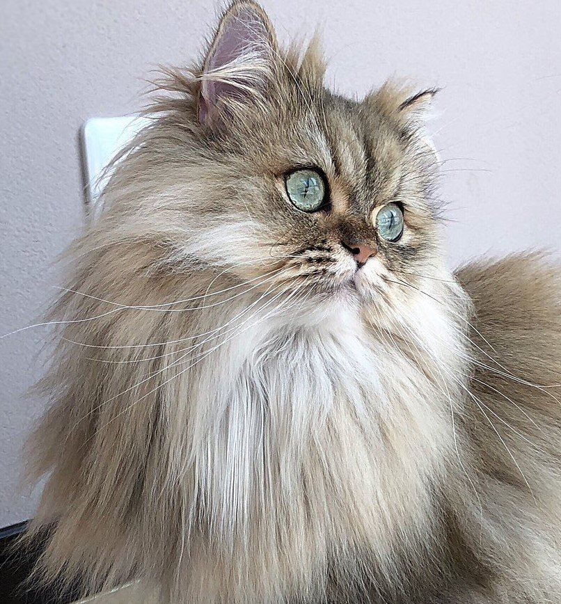 出所：@UphQepCv8J