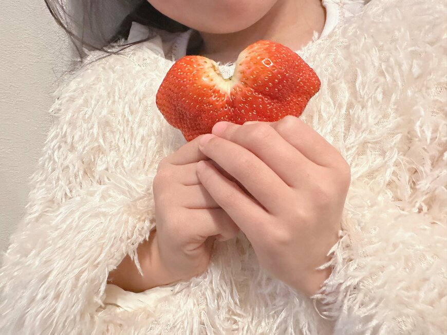 出所：KYSさんご提供写真