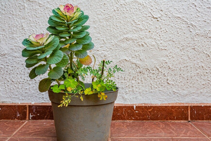 Foto Para Ti/shutterstock.com