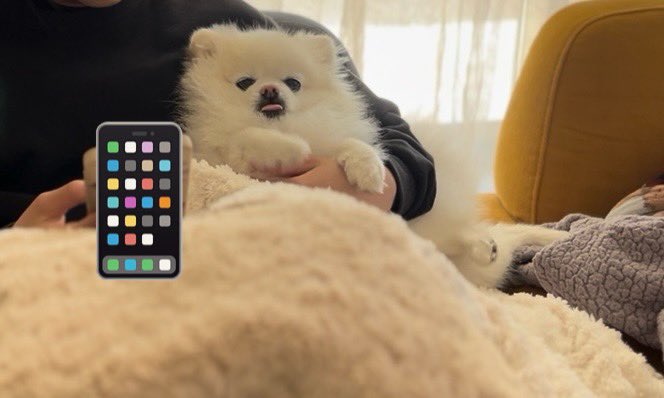 出所：@boku_ponchan