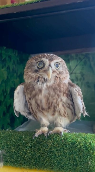 出所：@cr8673.hiro