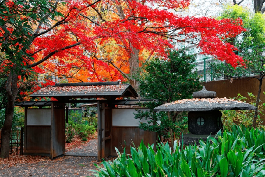 CHEN MIN CHUN/istockphoto.com