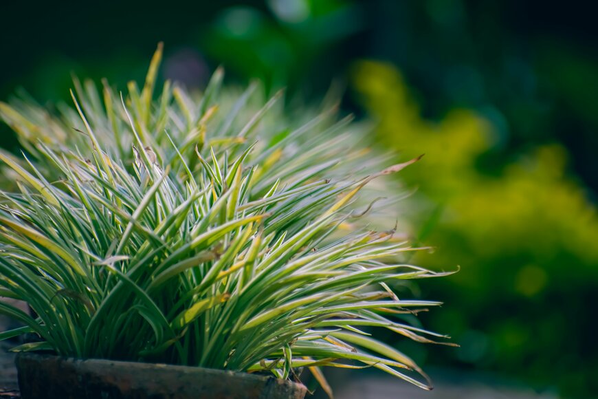 Sandipan Panja/istock.com