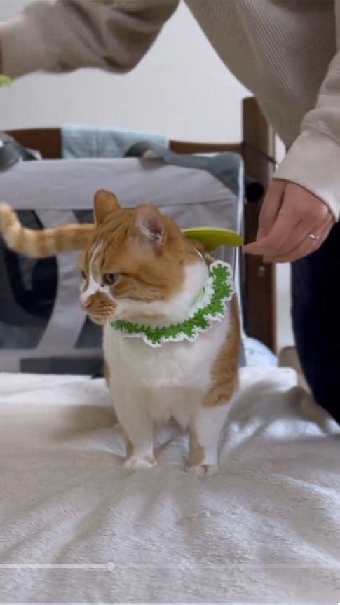 出所：@monburan_sanpo