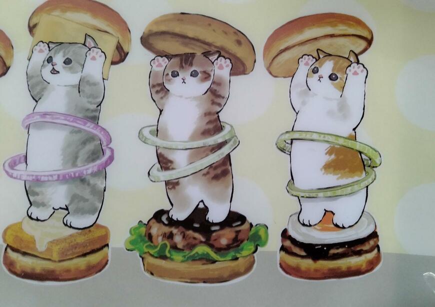 筆者撮影（セリア、mofusandマチつきポーチ）