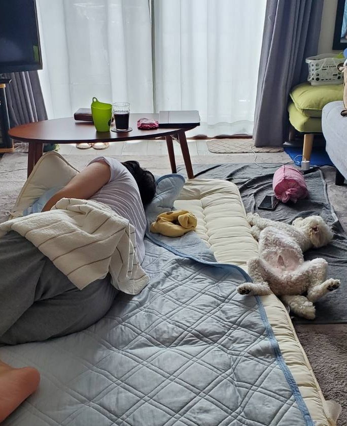 出所：@inukawatama