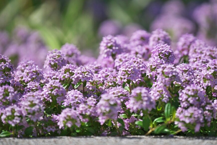 igaguri_1/istockphoto.com