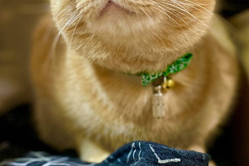 出所：@luna7taka9 