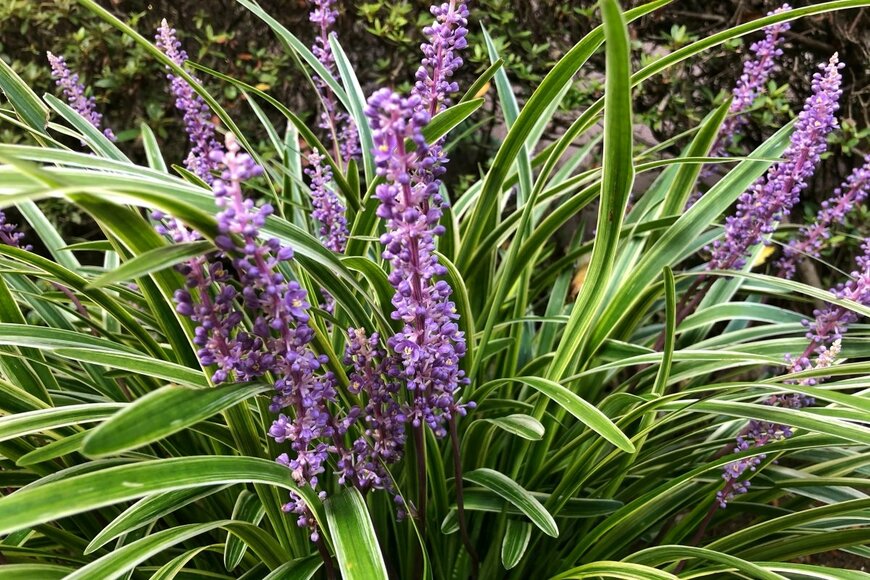 Nokzd/shutterstock.com