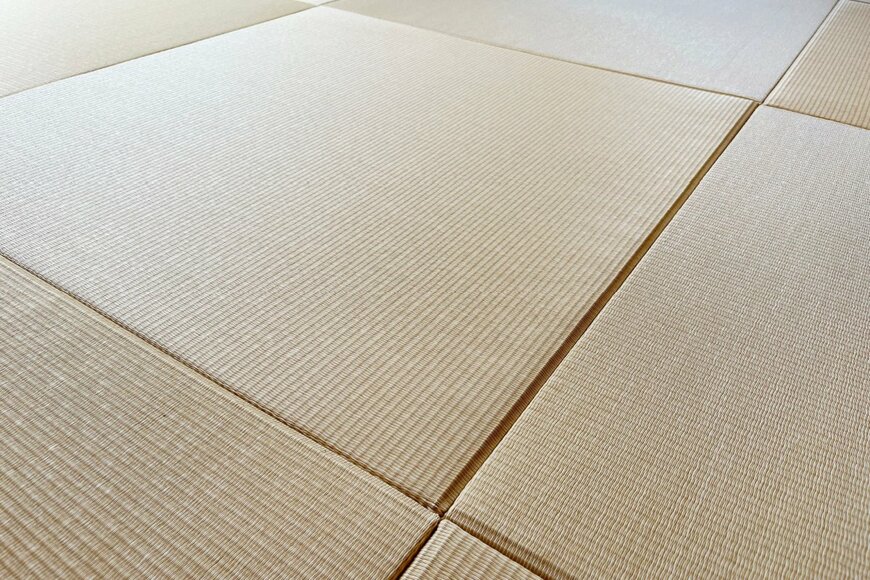 koni_film/shutterstock.com