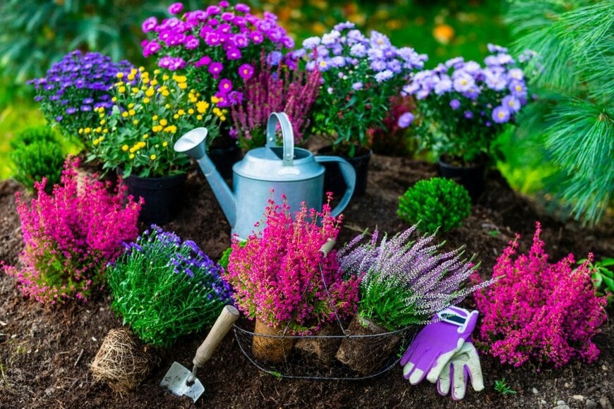 iMarzi/shutterstock.com