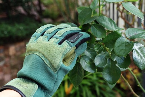 写真：筆者撮影