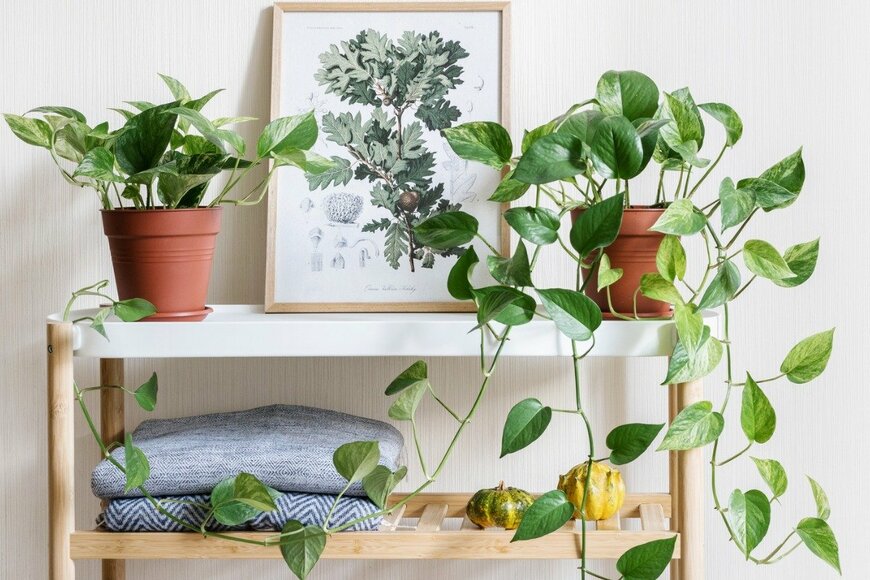 brizmaker/istockphoto.com