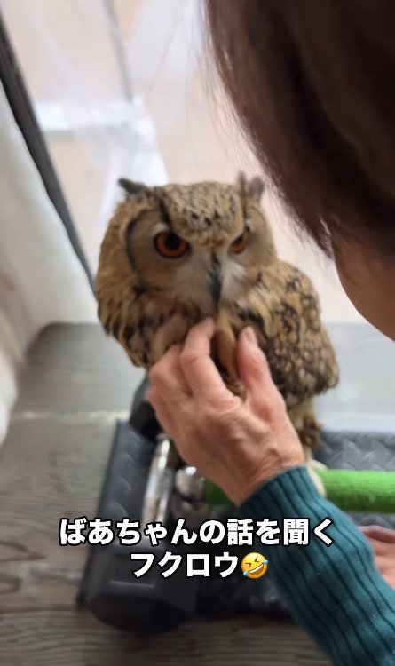 出所：@ba_chantolatte