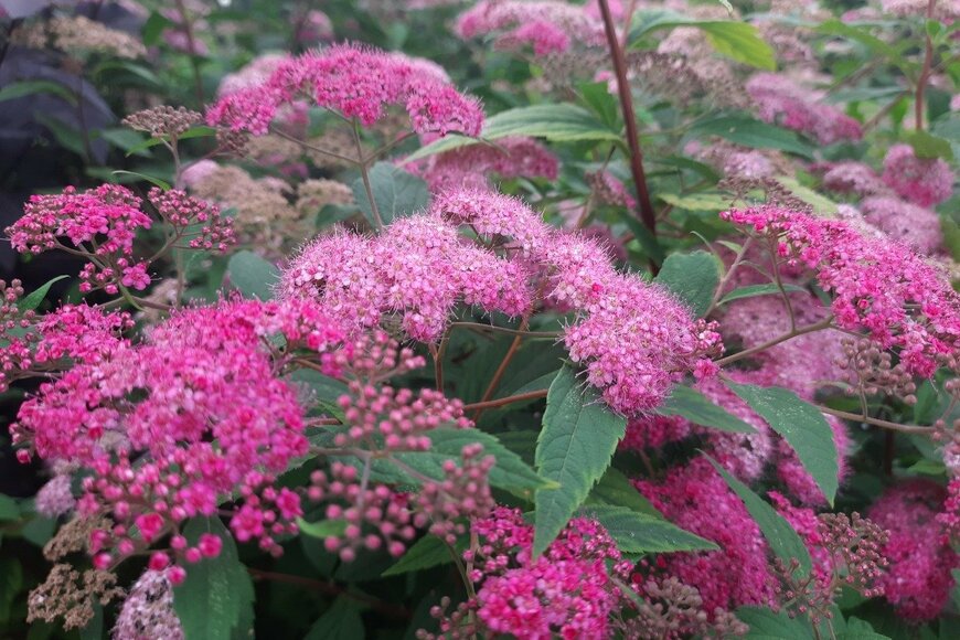 Darya Ostrenko/istockphoto.com