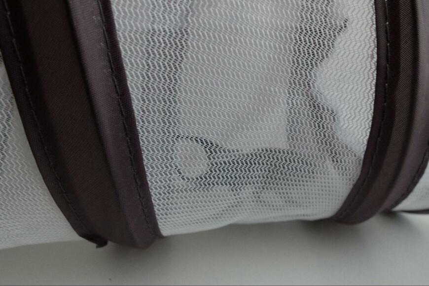 筆者撮影（ダイソー、昆虫採集網）