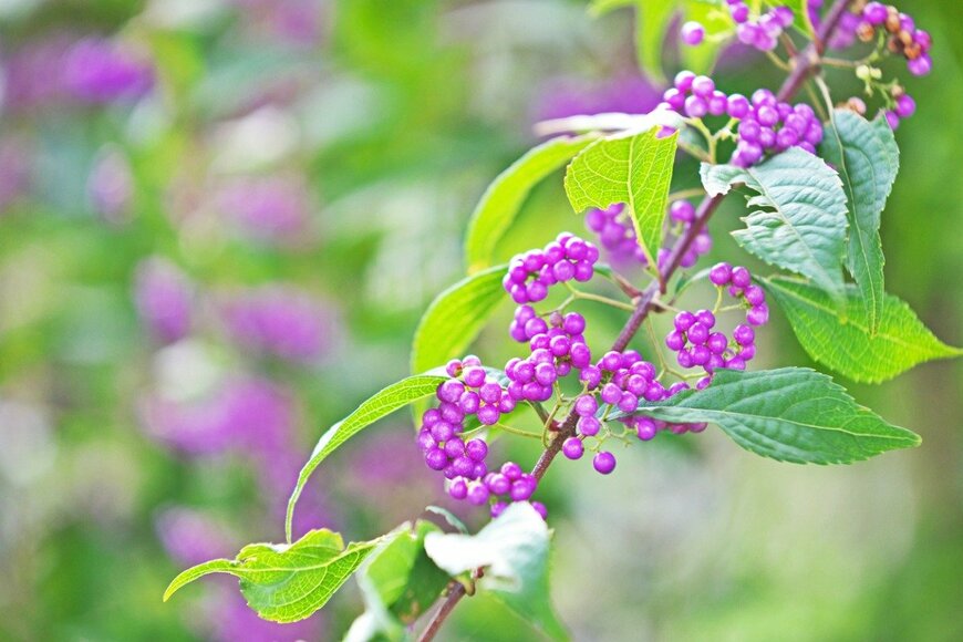 igaguri_1/istockphoto.com