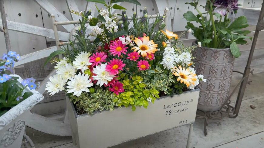 出所：@petit_fleur