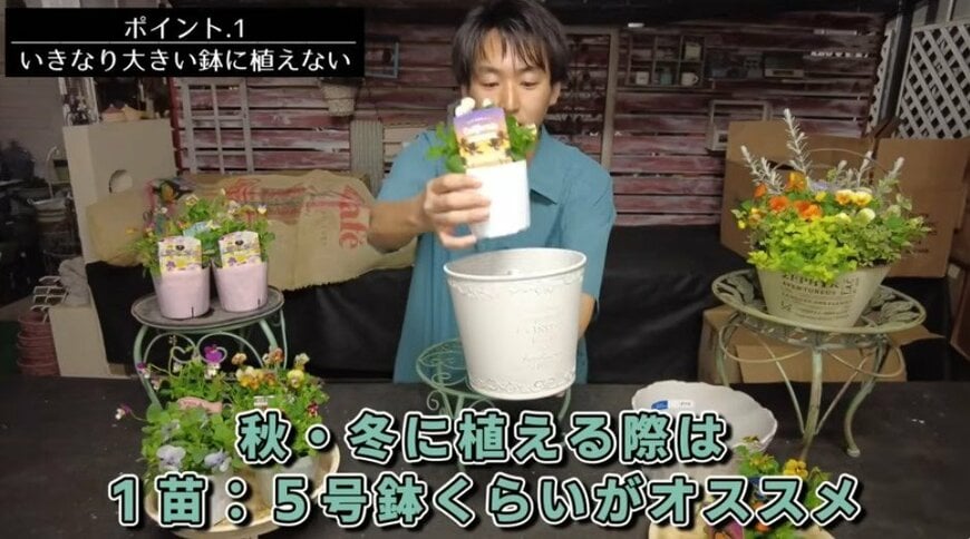 出所：@petit_fleur