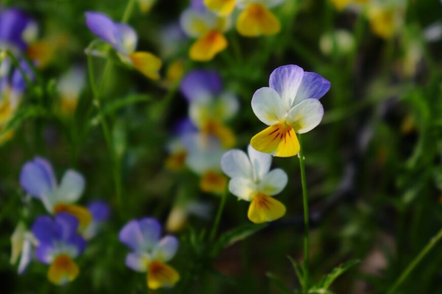 AGabriel_Photo/shutterstock.com