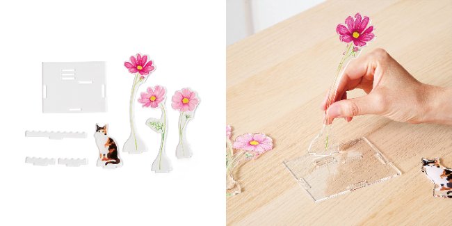 出所：株式会社フェリシモ『猫との暮らしに花を添えてくれる「いつまでも美しい お花のアクリルスタンドトレイ」がフェリシモ「猫部(TM)」から新登場』