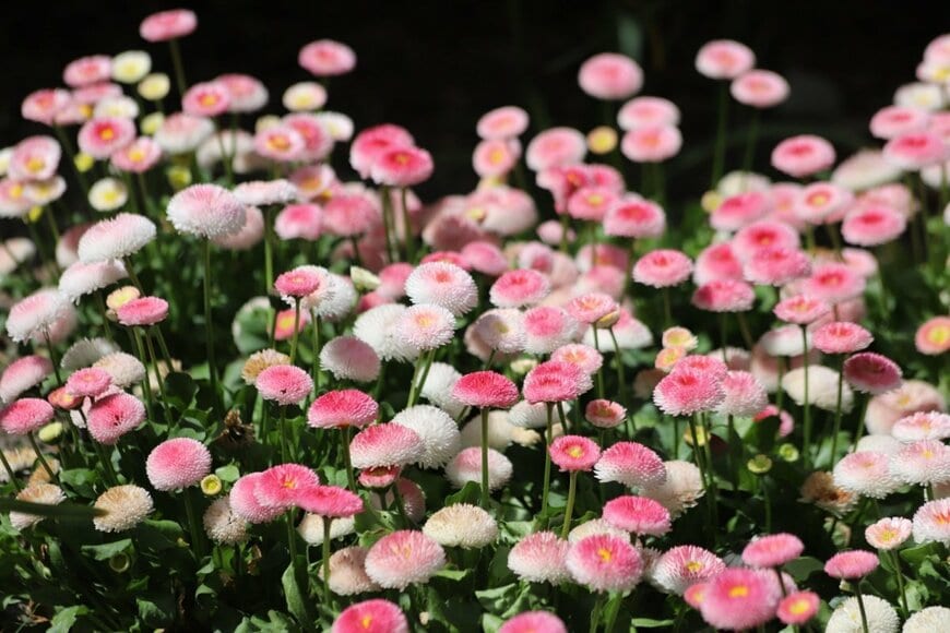 Danita Delimont/shutterstock.com