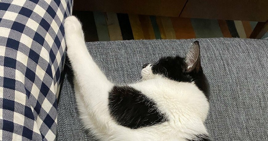 出所：@00shitemita