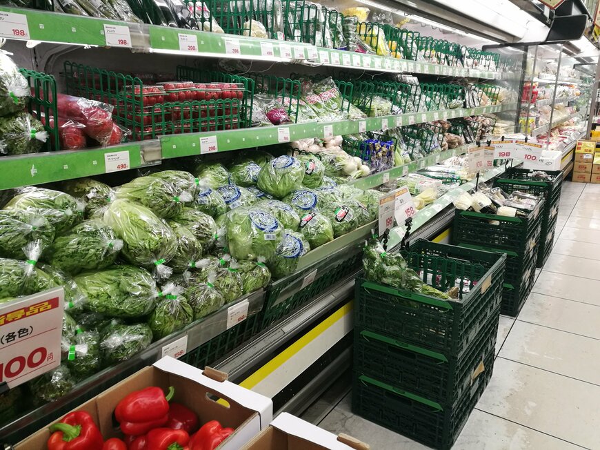 千葉県のスーパーで販売されていた白菜　価格と注意書きの内容に衝撃を受ける人が続出