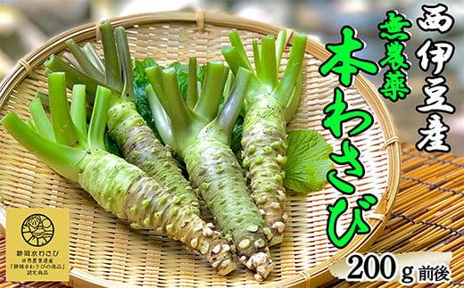 無農薬本わさび 200g前後