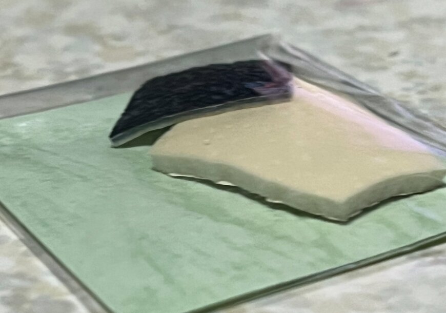 エミューとダチョウの卵の破片