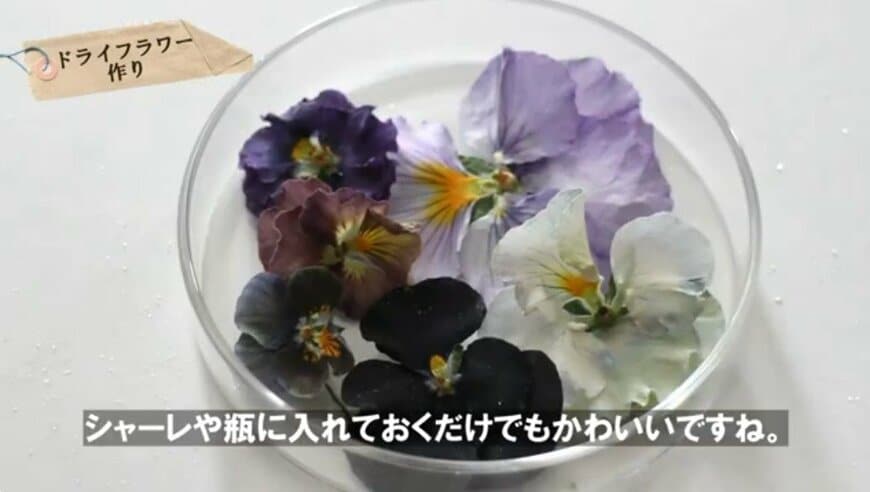 @チェリーガーデン