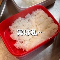 【男子高校生弁当】朝から揚げた〈とんかつ弁当〉2色のごまのコントラストがおしゃれで美味しそう！