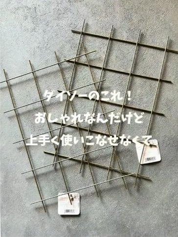 変身前のインテリアラティス