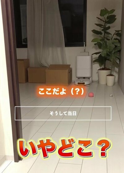 まるちゃんはどこ？