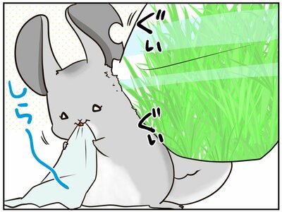 チンチライフ185話