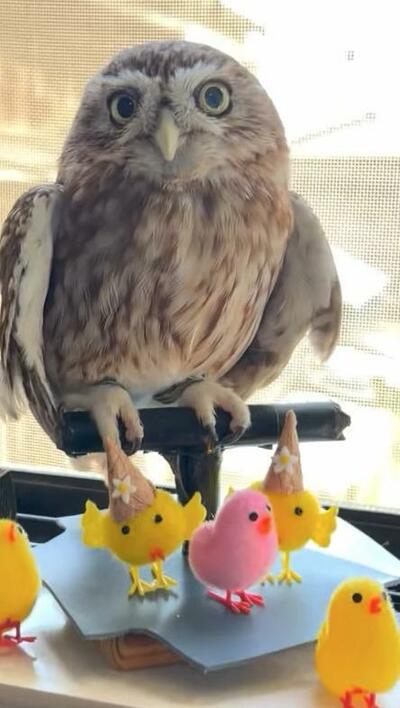 投稿動画のワンシーン