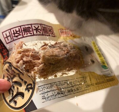 ワイルドな犯行の様子